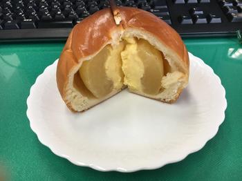 パンの木２.jpg